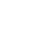 Telefon Icon