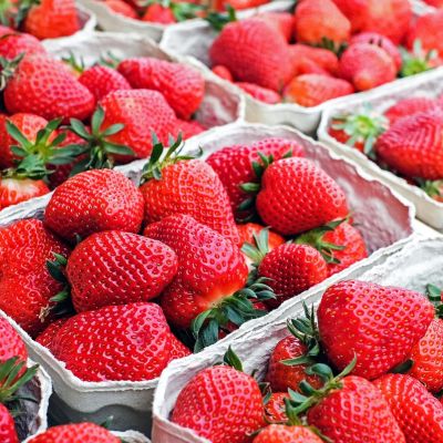 Frische Erdbeeren in Pappschälchen
